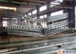 Zinkplattierte verstellbare Stahlbauer Prop 5m Höhe für Schiebeformbeton